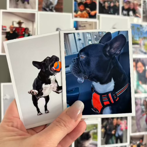 Customized Photo Magnets