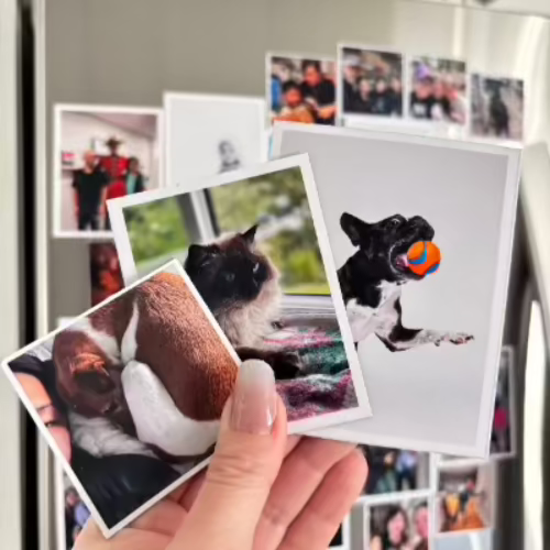 Customized Photo Magnets